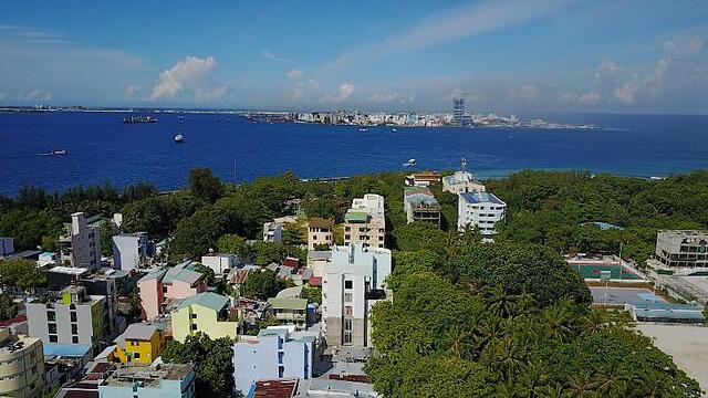 گرین فلورا