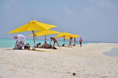 اولهوماتی ویوو این