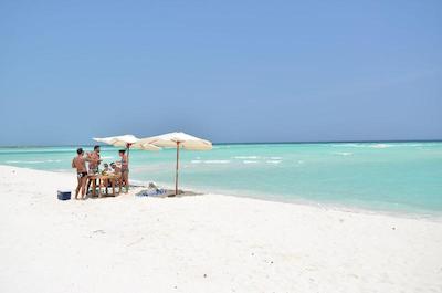 اولهوماتی ویوو این