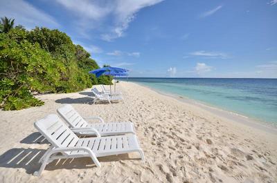 اولهوماتی ویوو این