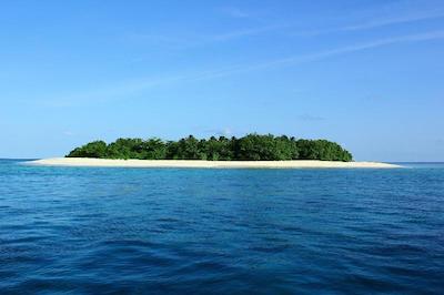 اولهوماتی ویوو این