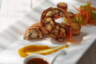 اولهوماتی ویوو این