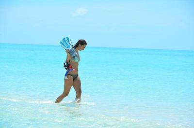 اولهوماتی ویوو این