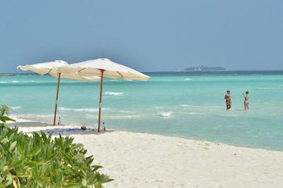 اولهوماتی ویوو این