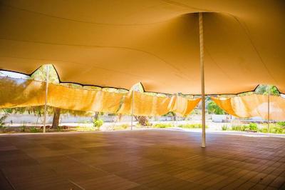 پلاگوس اویا