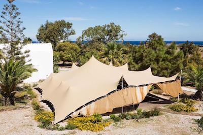 پلاگوس اویا