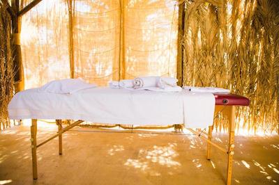 پلاگوس اویا