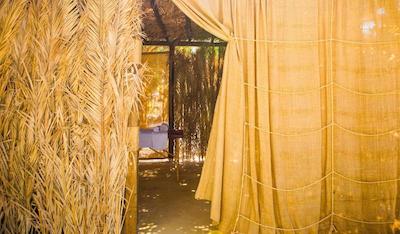 پلاگوس اویا