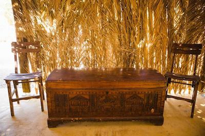 پلاگوس اویا