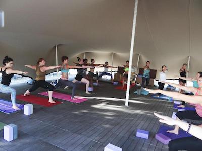 پلاگوس اویا