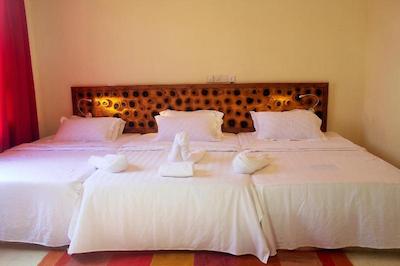 شسان شاین لاج