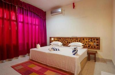 شسان شاین لاج