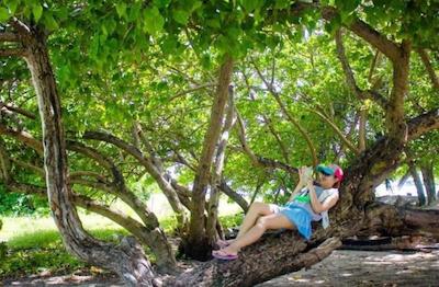 شسان شاین لاج