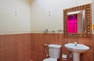 شسان شاین لاج