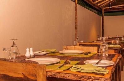 شسان شاین لاج