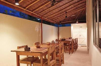 شسان شاین لاج