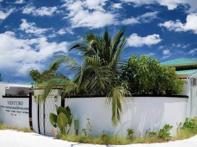 ونتورو این ات مافوشی