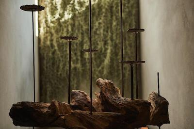 موس بوتیک هتل