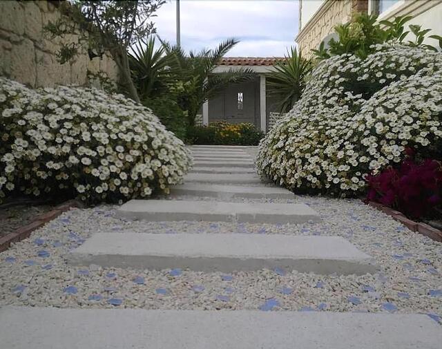 داریا آلاکاتی