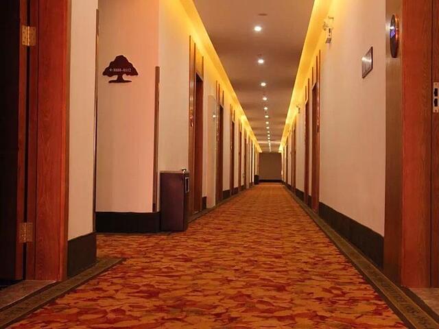 گرین تری این هانگژو زیاشا دولوپمنت