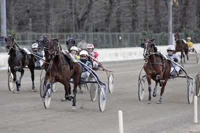 کازا آردیزونی