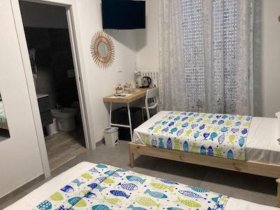 هولابولوگنا