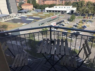 هولابولوگنا