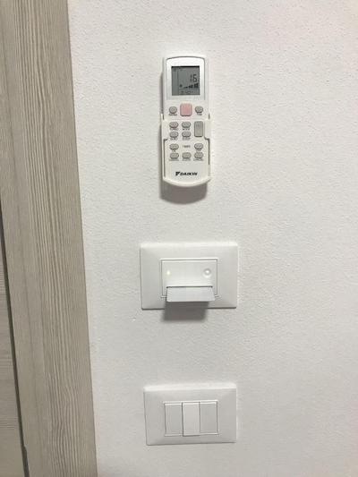 هولابولوگنا