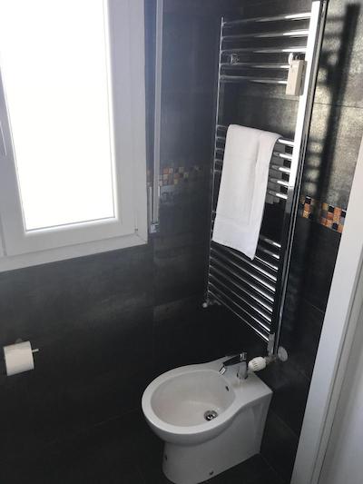 هولابولوگنا