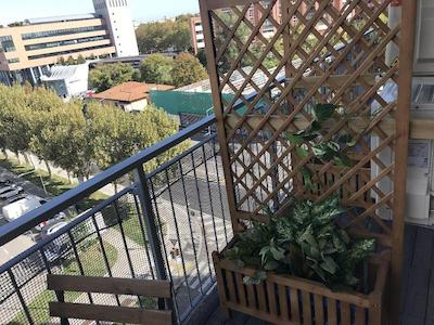 هولابولوگنا