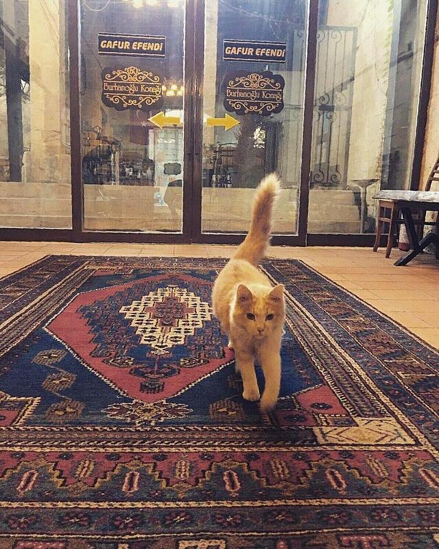 بورانگلو کوناگی اوتل