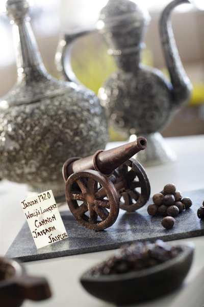 فرمونت جیپور