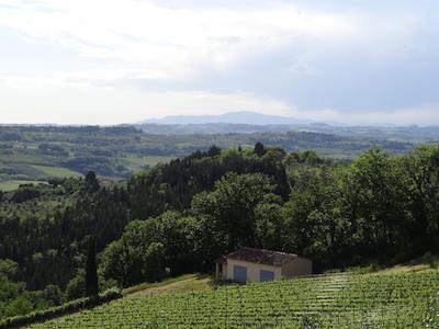 ویلا آی بارونسی ریزورت اسپا