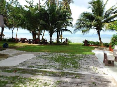 پاین بانگالو