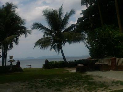 پاین بانگالو