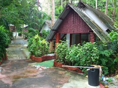 پاین بانگالو