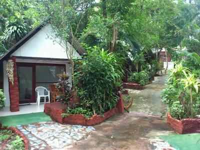 پاین بانگالو