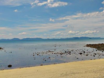 پاین بانگالو