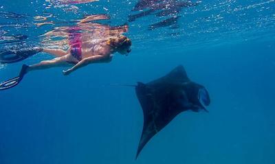 اویلا مانتا ویلیج