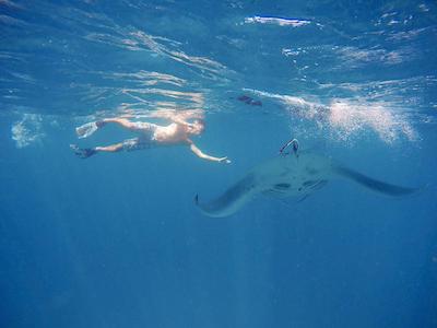 اویلا مانتا ویلیج