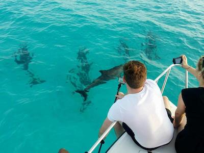 اویلا مانتا ویلیج