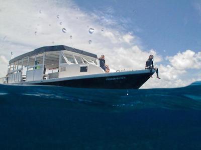 اویلا مانتا ویلیج