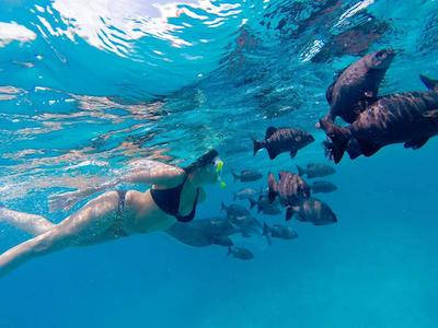 اویلا مانتا ویلیج