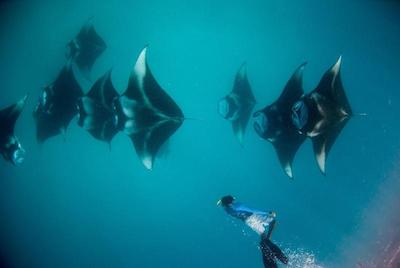 اویلا مانتا ویلیج