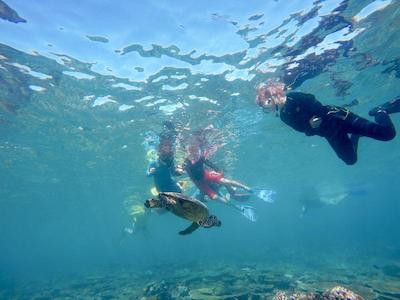 اویلا مانتا ویلیج