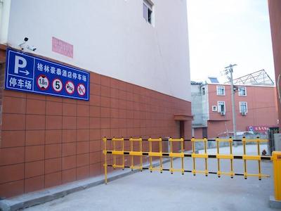 گرین تری این انکینگ یوزینزیان