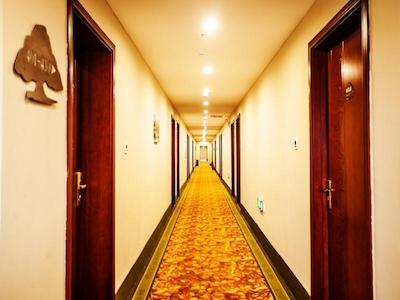 گرین تری این زینجیانگ اویگور اتونوموس