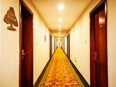 گرین تری این زینجیانگ اویگور اتونوموس