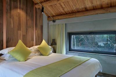 زیهوو مموریز تری هتل