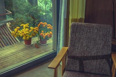 زیهوو مموریز تری هتل